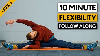 Flexibility Follow Along for Lower Body  Level 3 [upl. by Dnamron]