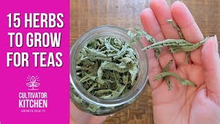 15 Herbs I Grow for Teas Frugal Healthy Living 🌿 [upl. by Ajani147]