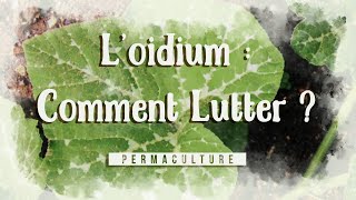 LOidium  Cest quoi comment lutter contre [upl. by Tekcirk]