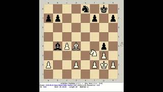 Artemiev Vladislav vs Zhu Jiner  China Russia Stars Chess Match Blitz 2024 Harbin R6 1 [upl. by Naitsyrk]