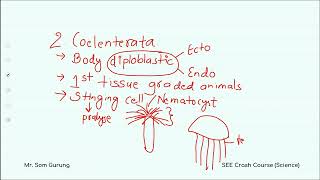 Classification of Organisms SEE Grade 10  Science  Learnsic  Day 3 [upl. by Vilberg]