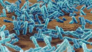 stock footage pseudomonas aeruginosa bacteria klebsiella medical concept [upl. by Hsemin81]