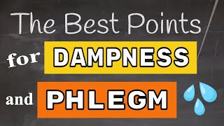 Best Acupuncture Points for Dampness amp Phlegm [upl. by Nosredna190]