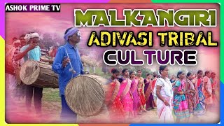 MALKANGIRI ADIVASI TRIBAL CULTURE  KOYA GONDI DHOLA VIDEO  NEW VIDEO  ASHOK PRIME TV [upl. by Cloutman]