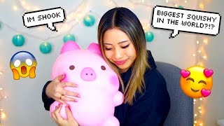 400 SQUISHY UNBOXING  BIGGEST SQUISHIES IN THE WORLD [upl. by Esertap]