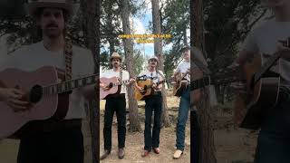 Ventura Highway  America 70smusic acousticfolk acousticguitar venturahighway americaband [upl. by Carol-Jean448]