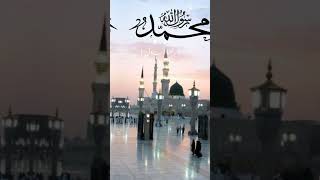 Naat Shareef madinasharifkividioislamicvideoyputubeshorts [upl. by Etteroma]