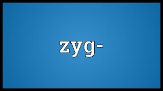 Zyg Meaning [upl. by Ophelie]