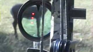 SABO Bow Sight by Tactical Archery Systems [upl. by Baxy]