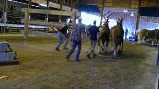 HOPKINTON STATE FAIR CONTOOCOOK NEW HAMPSHIREHORSE PULLS [upl. by Warder679]