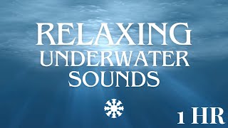 RELAXING UNDERWATER SOUNDS  1 Hour  Deep Ocean Sounds  Sleep Relax Study Meditation No Music [upl. by Arodasi]