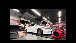 My 300HP All Motor K24 Daily Driven Civic Si [upl. by Adna]