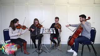 Hedwigs Theme covered by Rylands String Quartet [upl. by Lerat]