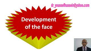 Development  Congenital anomalies  face  Palate  Median nasal process  Harelip  Cleft lip [upl. by Fillender]