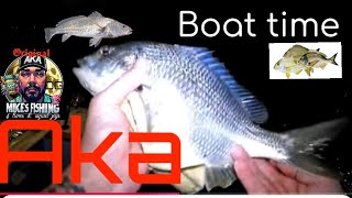 sydney fishing jew big bream flatheads [upl. by Esorbma]