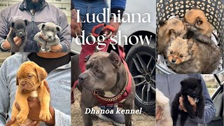 Ludhiana Dog Show 2024 ਮੀਂਹ ਕਾਰਨ ਸ਼ੋਅ ਵਿਗੜ ਗਿਆ  बारिश की वजह से हुआ शो ख़राब  German shepherd 🔥 [upl. by Honig]