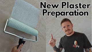 How i Prepare and Paint New Plaster  Mist Coating Guide [upl. by Akfir899]