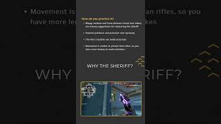 Should you Learn the Sheriff  VALORANT Training  Nano valorant valorantbeginnersguide gaming [upl. by Elbag813]