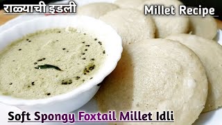 राळ्याची इडली l Soft Spongy Foxtail Millet Idli l Millet Recipe In marathi foxtailmilletidli [upl. by Letnuhs]