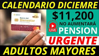 No aumentará la pensión 2025 Y calendario diciembre pago de 11 mil 200 💰✅ [upl. by Nailliw]