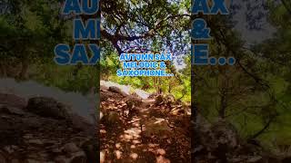 Autumn Sax  Melodic amp Saxophine Deep Tropical House Music 2024 saxophone jazzsax tropicalbeats [upl. by Robin]