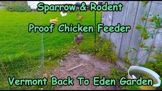 Sparrow and Rodent Proof Chicken Feeder [upl. by Naldo]