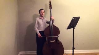 Beethoven Sonatina  Bass Lesson [upl. by Weisbart]