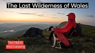 Wild Camping on the Tallest Mountain in The Cambrian Range  Pumlumon Fawr [upl. by Valeta488]