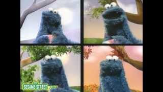 Sesame Street Eating Cookies All Year With Cookie Monster [upl. by Ferri]