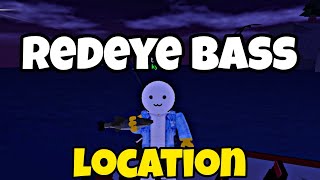 LOCATION Where to Find Redeye bass in Fisch Roblox  redeye bass [upl. by Nylirek10]