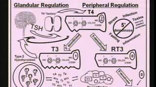 Epigenetics Modern Day Lifestyle and Your DNA [upl. by Brendis388]