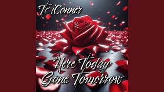 Here today gone tomorrow [upl. by Anaer]