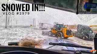 SNOWED IN  My Trucking Life  Vlog 2979 [upl. by Ylaek]