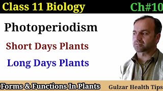 Photoperiodism  Short days plants  Long days plants  Day neutral plants  class 11th Biology [upl. by Rubenstein]