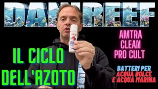 ciclo azoto batteri acquario marino acquario dolce nitrati nitriti Amtra Clean ProCult DaniReef 4K [upl. by Wynne]