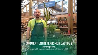 Comment prendre soin de mes cactus et de mes plantes grasses [upl. by Collis]