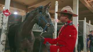 RCMP Musical Ride Meet Constable Gill [upl. by Dianne]