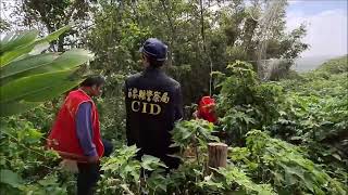 113年10月26日 永鴻隆船隊 奉何清吉理事長指示 配合苗栗刑警大隊 後龍山區新開發第二處 剷除鴿網 [upl. by Parlin]