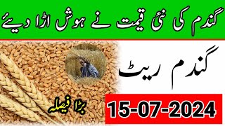 Today Wheat rate in Punjab 15July2024  Daily Wheat Prices update [upl. by Heinrike]