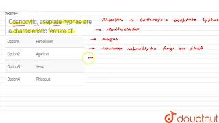 Coenocytic aseptate hyphae are a characteristic feature of [upl. by Carrol]