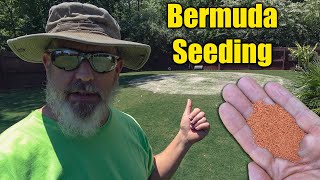 Planting Bermuda Grass Seed [upl. by Ahseuqal420]