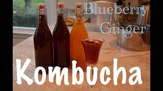 Blueberry Ginger Kombucha [upl. by Gardas708]