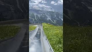 🇨🇭 Ultimate Alpine Thrill Oeschinensee’s MustTry Slide Adventure [upl. by Ahsatan573]