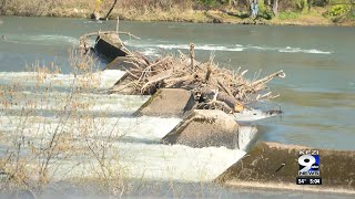 A new push to inspect and ultimately remove the Millrace low head dam in the Willamette River [upl. by Eimrots]