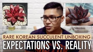 Rare Korean Succulent Unboxing  Expectations vs Reality [upl. by Sancho464]