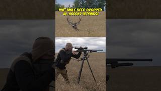 198” Mule Deer Dropped in 000069 Seconds [upl. by Anattar]