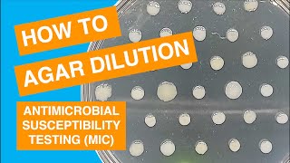 Agar Dilution MIC Susceptibility Test Method [upl. by Sutniuq]