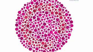 Colorlite tritan color blindness test  wwwcolorlitelenscom [upl. by Piggy]