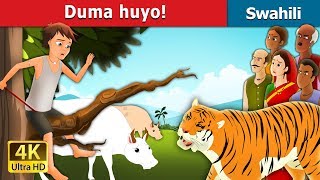 Duma huyo  There comes the Tiger in Swahili  Swahili Fairy Tales [upl. by Irby]