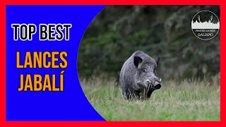 TOP BEST LANCES JABALÍ 20232024  TOP SHOT WILD PIG HUNTING [upl. by Nama]